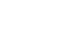 Somerset NHS Logo